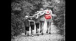5 Kinder halten sich beim Wandern im Arm. Rückenansicht. 